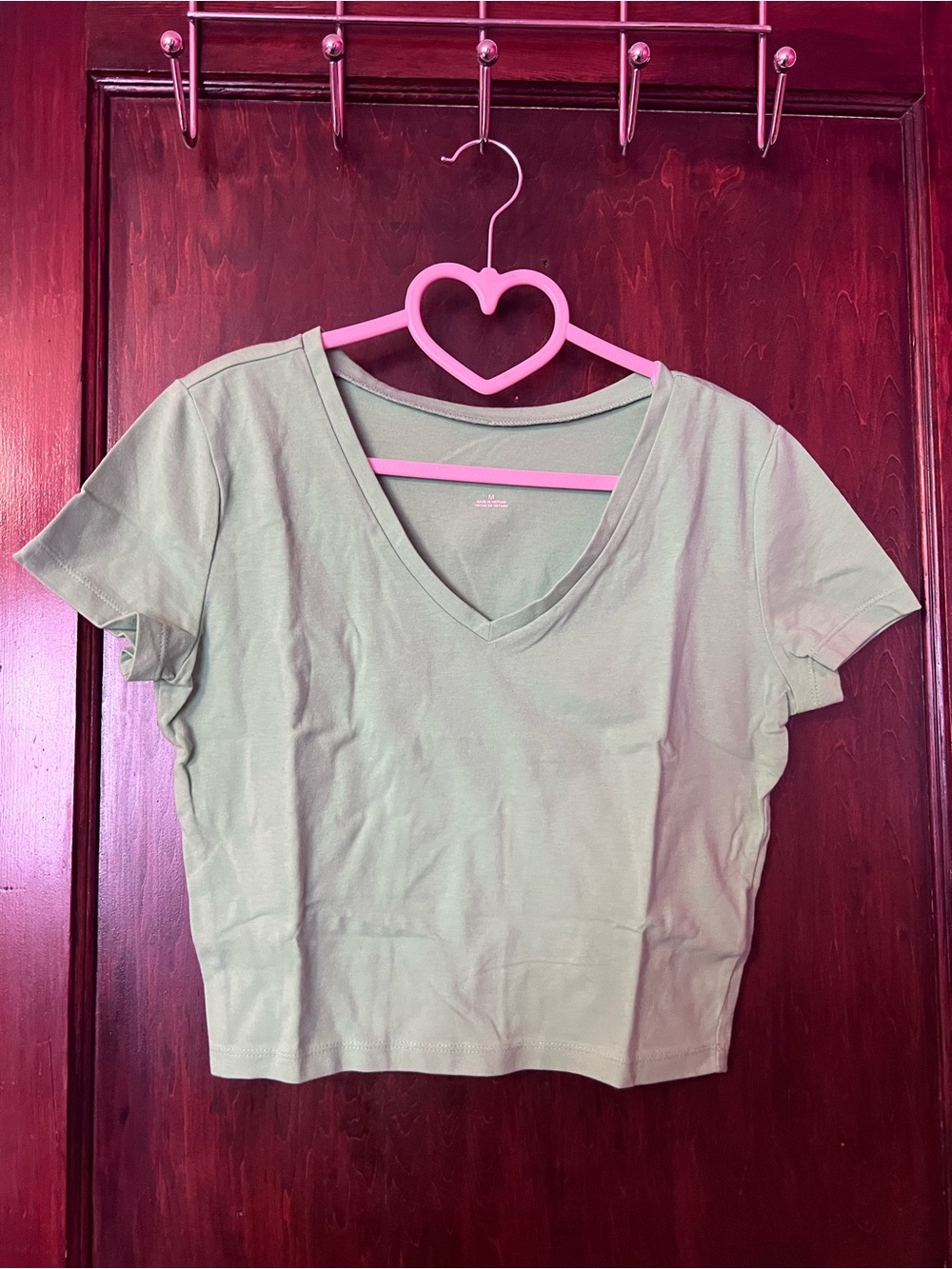 wild fable Light Green V-Neck Crop Top